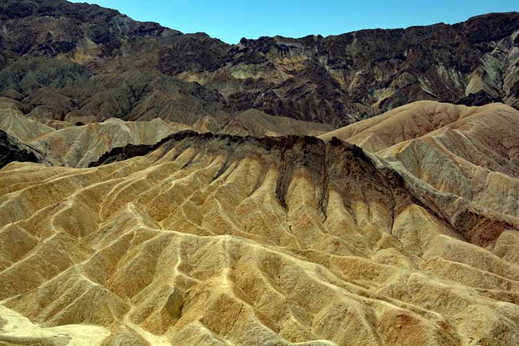 mustard-colored hills